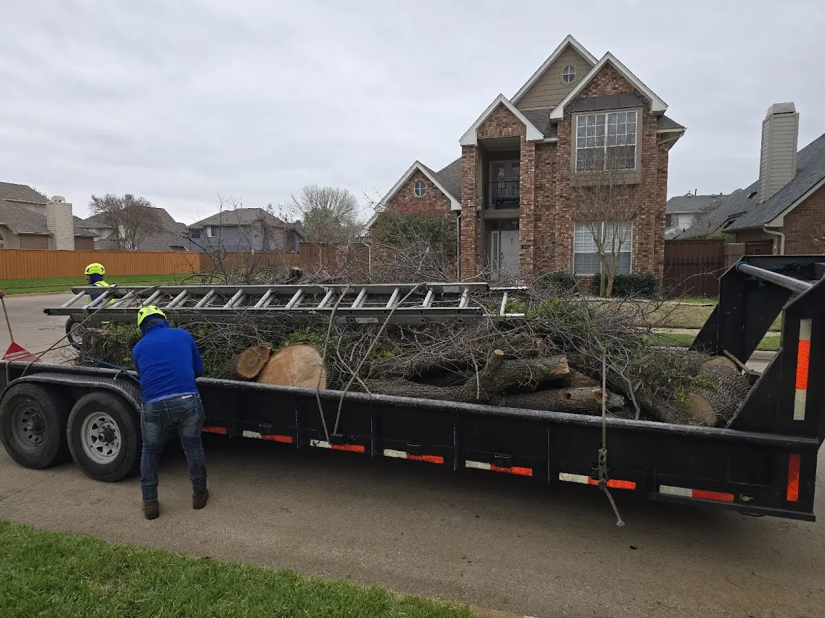 Expert Lot Clearing with proper safety equipment in Welch